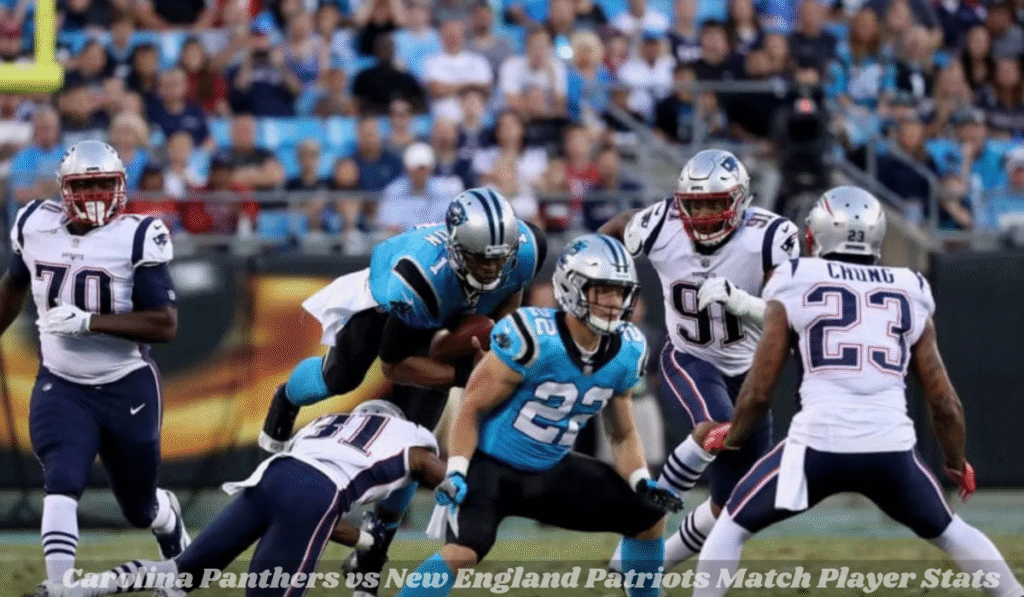 Carolina Panthers vs New England Patriots Match Player Stats