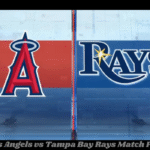 Los Angeles Angels vs Tampa Bay Rays Match Player Stats