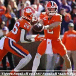 Clemson Tigers Football vs SMU Football Match Player Stats