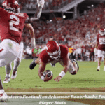 Tennessee Volunteers Football vs Arkansas Razorbacks Football Match Player Stats